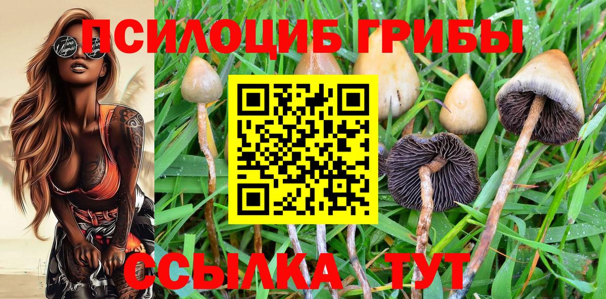 Псилоцибиновые грибы ЛСД Воткинск