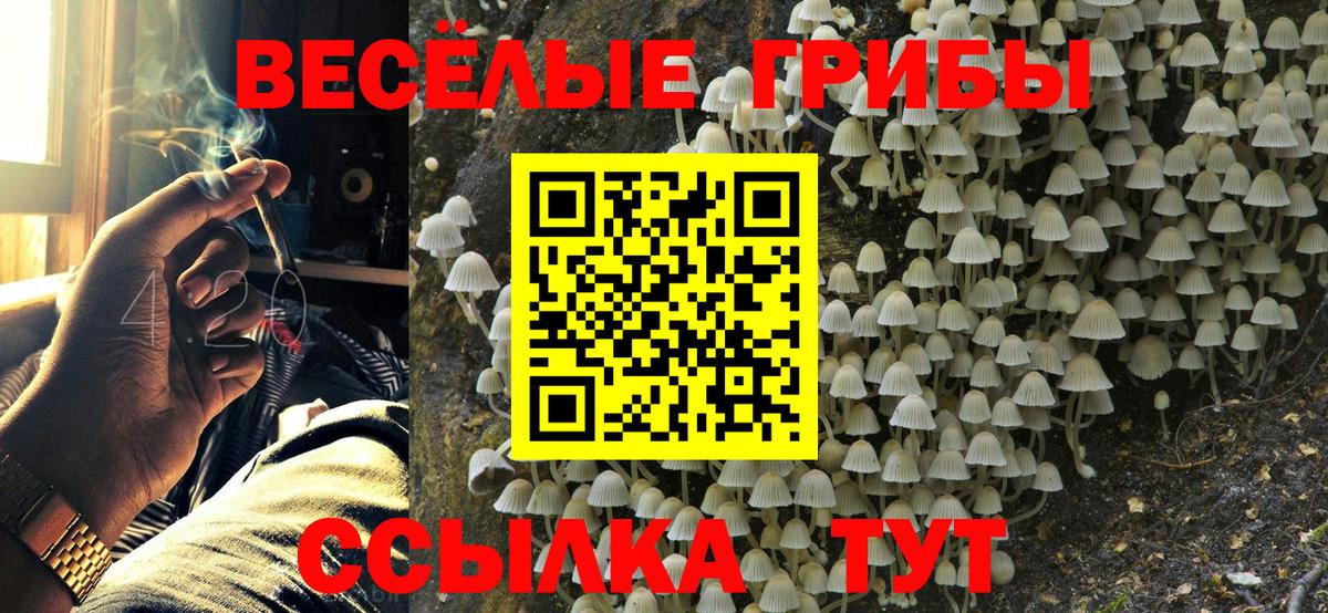 Псилоцибиновые грибы ЛСД Воткинск